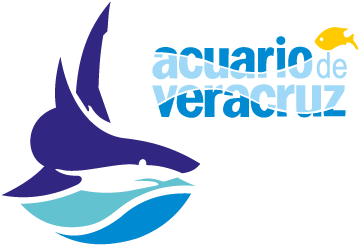 Acuaro de Veracruz
